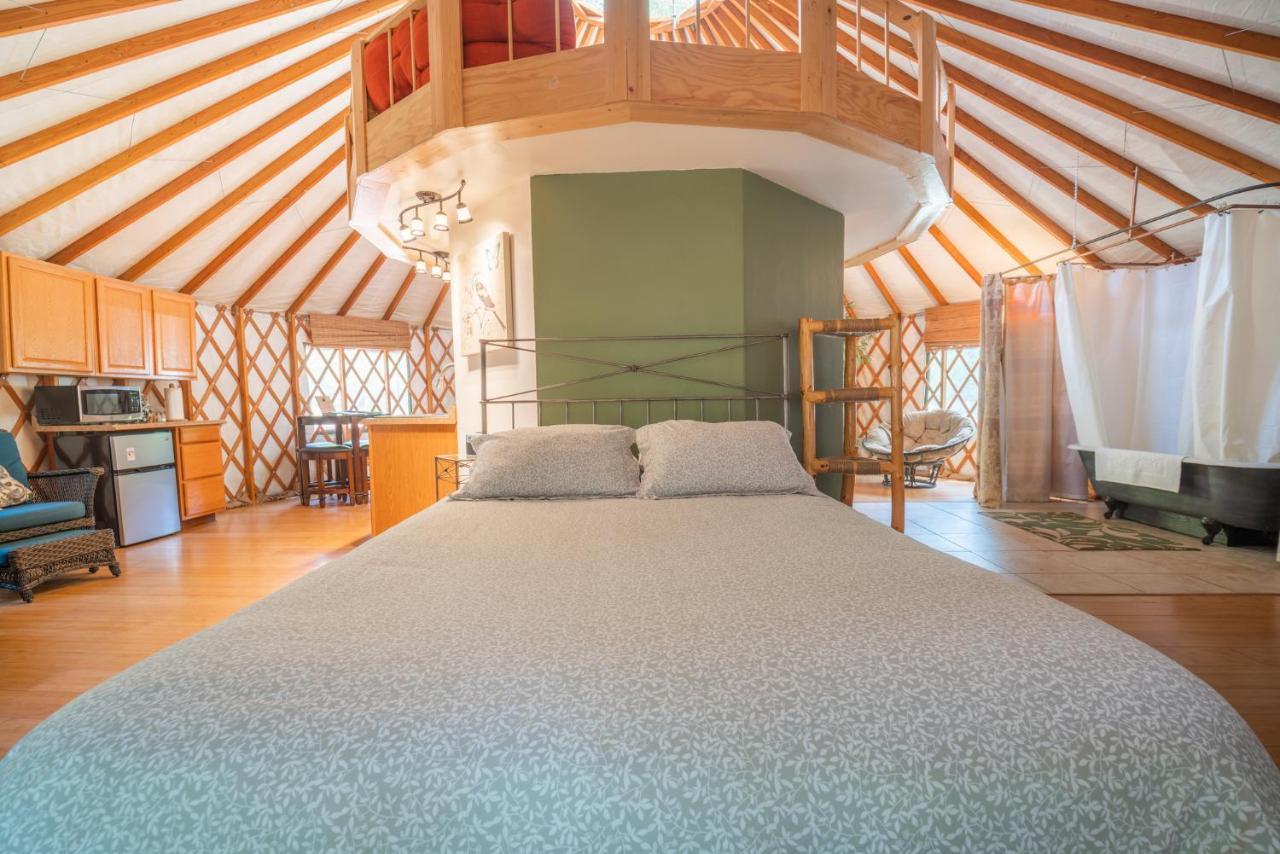 Strawhouse Resorts Big Bar Eksteriør bilde